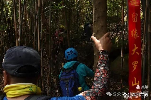 新奥彩资料免费全公开_大罗山最新震撼出炉的网红路线，等你来打卡！  第44张