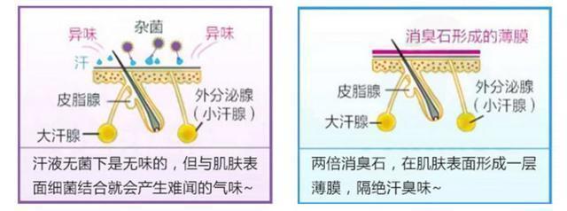 2924新澳正版免费资料大全,“有气质”与“没气质”的女人，差别就在这8处，看看自己有没有中招？  第51张