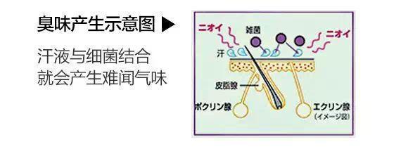 2924新澳正版免费资料大全,“有气质”与“没气质”的女人，差别就在这8处，看看自己有没有中招？  第50张