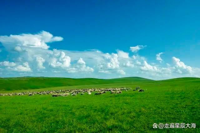 香港期期准资料大全_爱旅游的你，国内这20大旅游景点，去过10个便此生无憾  第34张