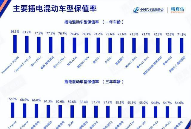 新奥门资料大全正版资料2024年免费,普通人最好不要买新能源汽车？内行人：三个关键因素值得深思  第19张