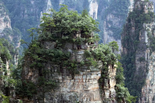 管家婆八肖版资料大全,旅游去哪里比较好玩