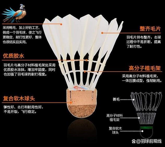 新澳2024年精准资料32期,羽球百科｜羽毛球怎么选，从入门到精通，一文解惑不走弯路！  第5张