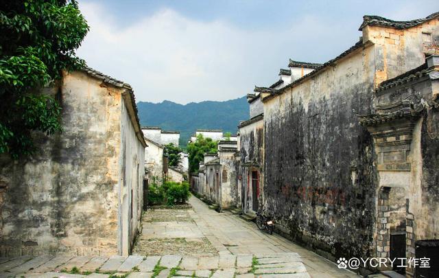 二四六澳门资料开奖天天,黄山218风景道网红自驾游路线打卡点推荐