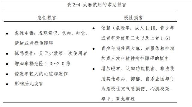 新奥资料免费精准2024,德国娱乐性大麻合法化，西方如何一步步为大麻“洗白”？  第8张