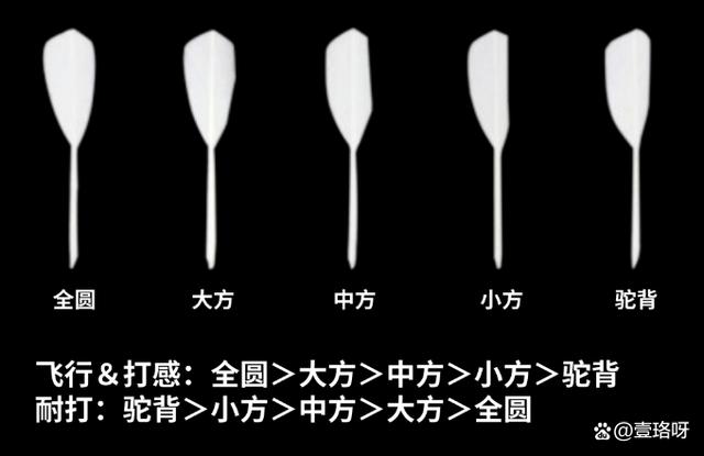 2024年新澳资料免费大全_用10年羽球经验讲透「羽毛球」怎么选！「新手必看」