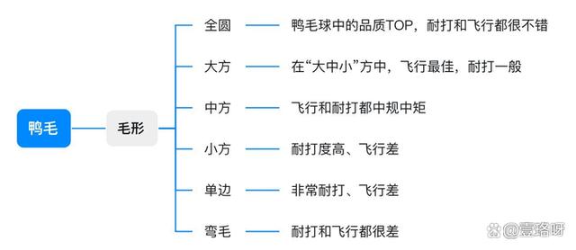 2024年新澳资料免费大全_用10年羽球经验讲透「羽毛球」怎么选！「新手必看」