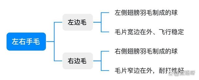 2024年新澳资料免费大全_用10年羽球经验讲透「羽毛球」怎么选！「新手必看」