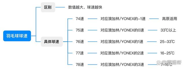 2024年新澳资料免费大全_用10年羽球经验讲透「羽毛球」怎么选！「新手必看」