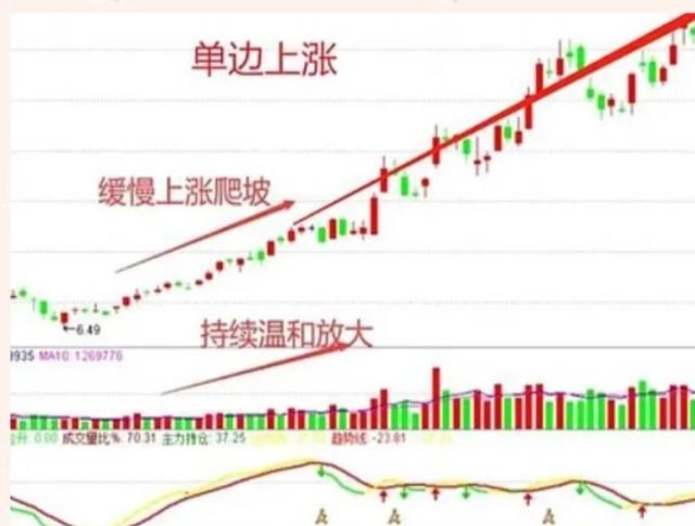 新奥天天免费资料单双_中国股市基础知识详解，小白入门必看，附9种主力选股法  第16张