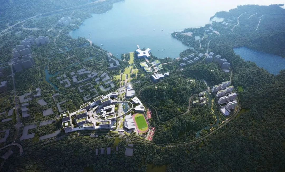 2024新澳免费资料成语平特_这所新大学，要来了！  第4张