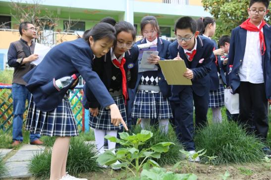 新澳门平特一肖网站,江苏：构建中小学心理健康教育体系 呵护学生健康成长