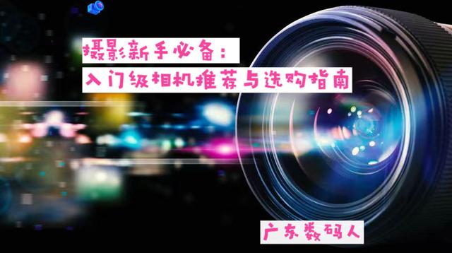 管家婆一码一肖资料大全五福生肖_摄影新手必备：入门级相机推荐与选购指南