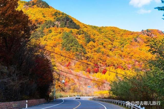 二四六澳门资料开奖天天_国内适合11去旅游的8个地方，每个都美到窒息！  第17张