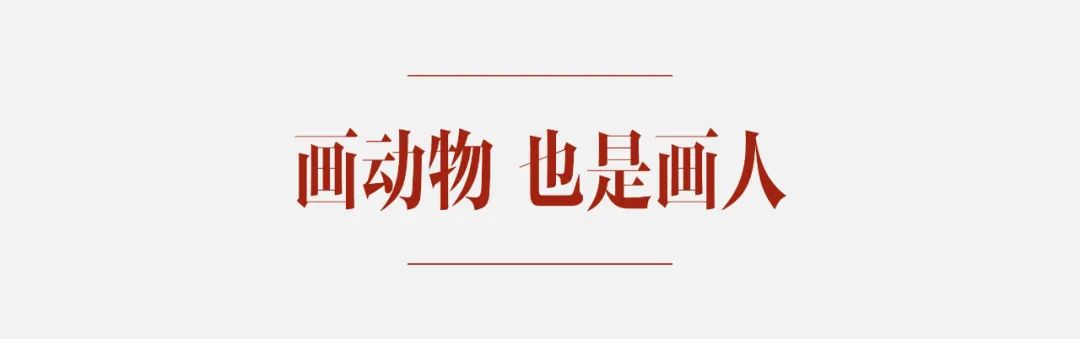 2024澳门资料大全正版_白茶画出了火出圈的「吾皇猫」，却不再看漫画  第5张