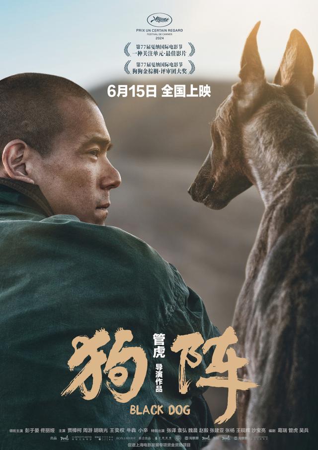 新澳门今晚开什么特马_2024院线热映电影精选，第六部豆瓣评分高达9.0，堪称年度最佳！