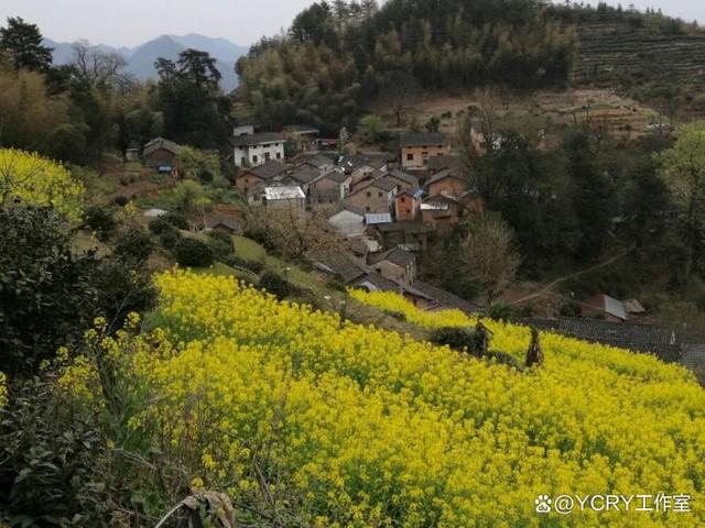 新澳今天最新资料网站_安徽网红自驾游路线皖浙一号公路风景道有哪些