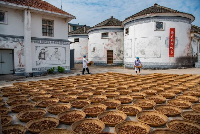 新澳现场开奖结果查询_镜观中国·新华社国内新闻照片一周精选  第8张