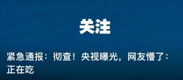 949494王中王内部精选,出战残奥会的“动漫男主”，当了爸爸  第9张