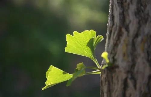 澳门一码一肖一特一中五码必中_不经历不知道什么是生活，不感悟不知道什么是人生  第5张