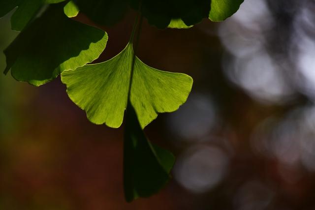 澳门一码一肖一特一中五码必中_不经历不知道什么是生活，不感悟不知道什么是人生  第2张