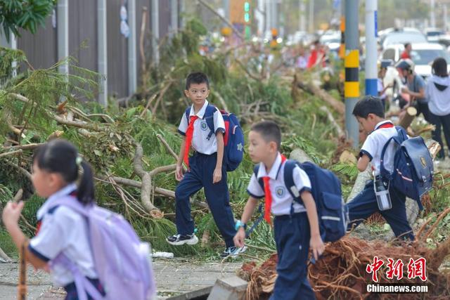 澳门六开奖结果2024开奖记录今晚直播,海口中小学、幼儿园9日起分批复学复课