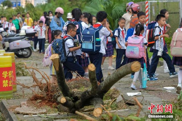 澳门六开奖结果2024开奖记录今晚直播,海口中小学、幼儿园9日起分批复学复课  第6张