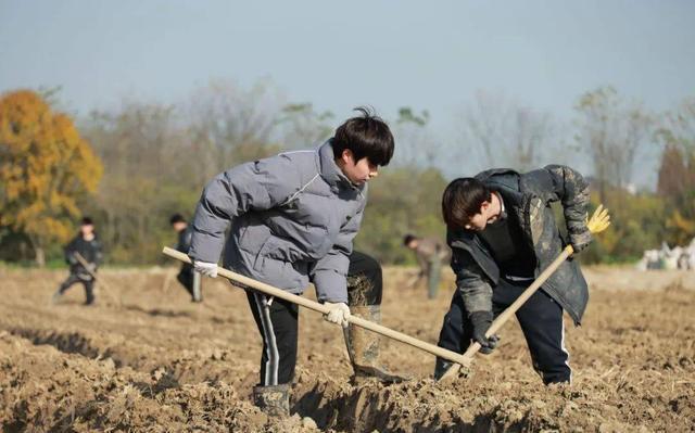 4949澳门开奖结果,2024最火的四大综艺，浪姐上榜，《歌手》屈居第二，第一实至名归  第3张