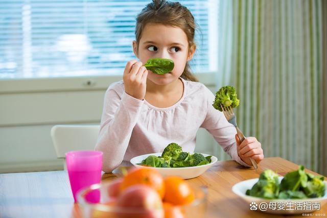 一白小姐一一肖必中特,宝宝营养指南：如何为幼儿提供均衡的饮食营养？