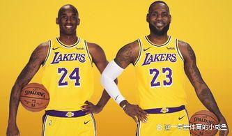 2024澳门资料正版大全一肖中特,北京时间8月24日，NBA传来湖人队最新两条资讯