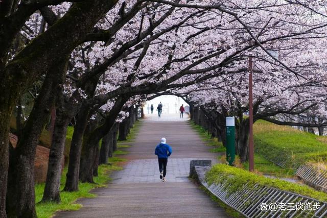 2024澳门正版资料免费大全_一周跑几次、几公里才最健康？你跑对了吗？  第2张