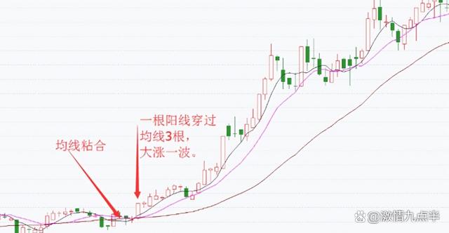 2024年澳门一肖一马期期准,股票的涨跌万变不离“成交量”，散户零基础炒股宝典，反复读懂！  第8张