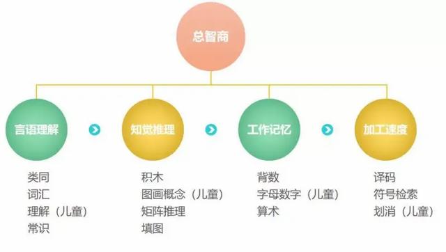 新澳精准资料免费提供510期,最新版韦氏儿童智力测试丨多维度找到孩子的优势，让成长省力高效  第2张