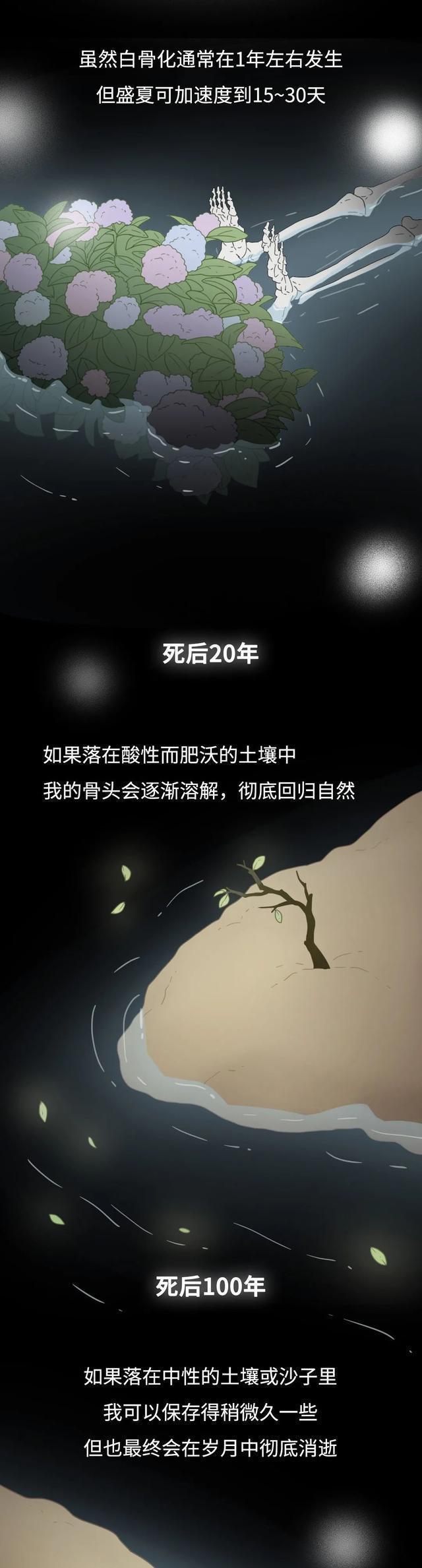 2024澳门天天开好彩大全_人死后不火葬，一年后尸体会变成什么样？漫画科普  第9张