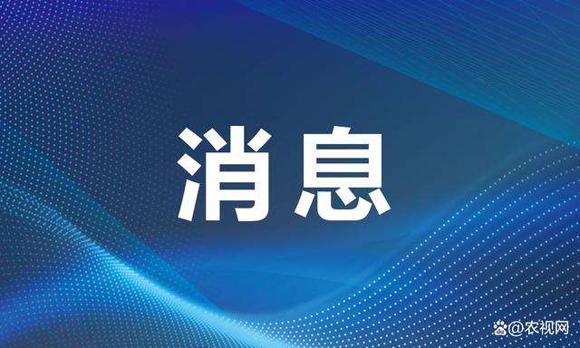 2024澳门六今晚开奖结果是什么,不仅吃得饱，还要吃得好 膳食要健康 “模式”很重要  第1张