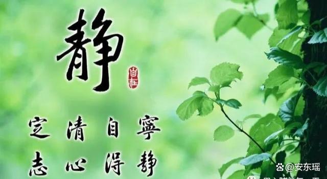 新奥天天免费资料下载安装最新版_余生，放慢脚步，心静如水，品味生活的美好与快乐