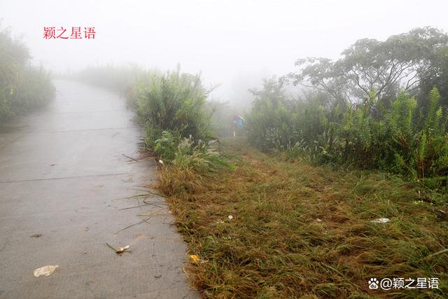 管家婆一码一肖资料大全五福生肖_宁波最大的粉黛花海，中秋国庆网红地，告诉你最美线路  第8张