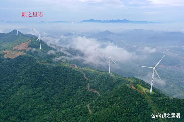 管家婆一码一肖资料大全五福生肖_宁波最大的粉黛花海，中秋国庆网红地，告诉你最美线路  第10张