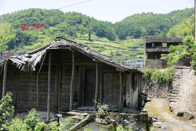 管家婆一码一肖资料大全五福生肖_宁波最大的粉黛花海，中秋国庆网红地，告诉你最美线路  第9张