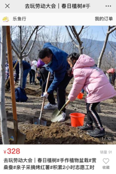 新澳门资料大全正版资料4不像_买箱苹果也算？这种“捷径”，让中小学志愿服务变了味儿