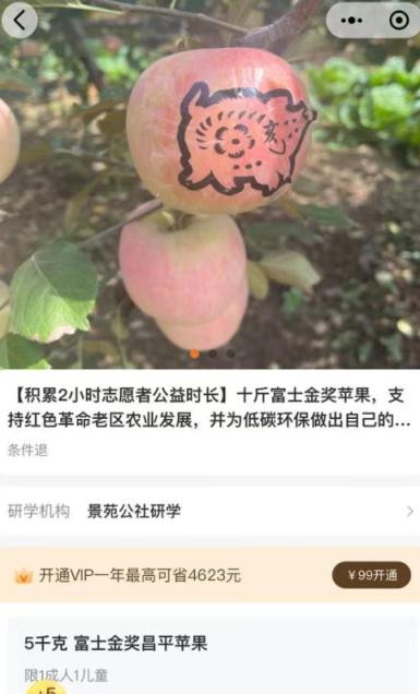 新澳门资料大全正版资料4不像_买箱苹果也算？这种“捷径”，让中小学志愿服务变了味儿  第3张