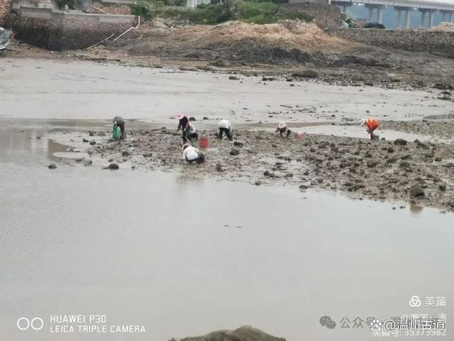 新澳门王中王资料公开,天气渐凉，温州这条私藏了绝美网红打卡点的健身步道，可以走起了  第43张