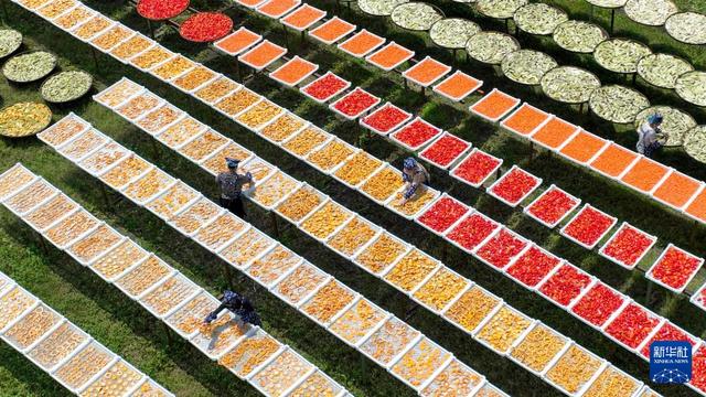 新澳精准预测精准版,镜观中国·新华社国内新闻照片一周精选  第10张