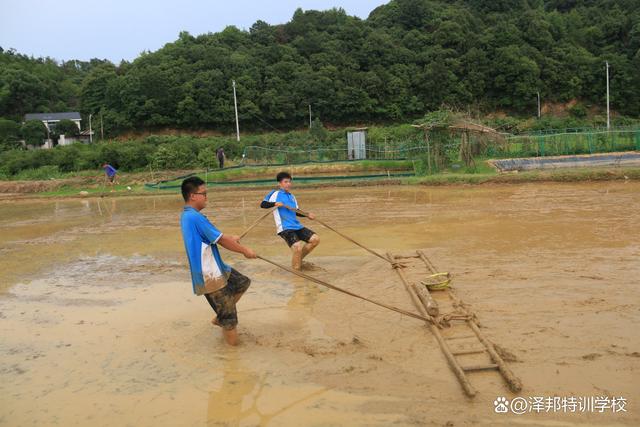 2024新澳门正版全年免费资料,青少年网络游戏成瘾怎么办  第1张