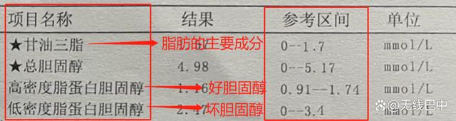 2024澳彩今晚开什么号码_营养食疗：多吃这4种食物，血管干净生病少  第1张