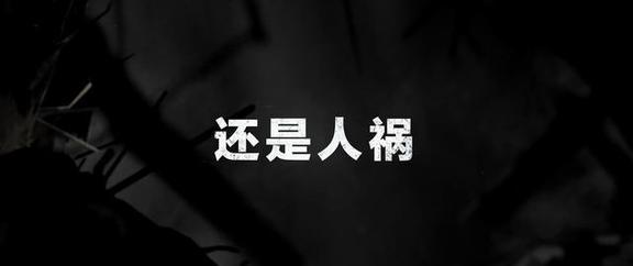 管家婆八肖版资料大全_国产灾难剧《二十一天》上映，连看4集不过瘾，这回终于淘到宝了  第23张