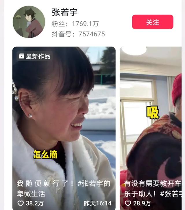 澳门澳彩资料大全正版资料下载,2024河南省10大网红排名，这个时代机会太多了，她竟排第一？  第7张