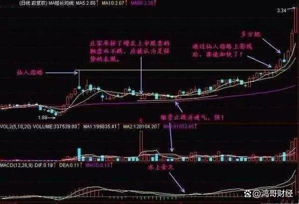 2024澳门新资料大全免费直播,中国股市：上涨15%即卖出，下跌7%即止损，连读十遍，送给有缘人  第13张