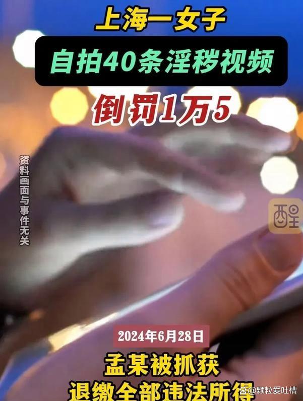 新澳精准资料免费提供彩吧助手_女子自拍40条淫秽视频，一年挣8千被罚一万五，评论炸锅  第3张