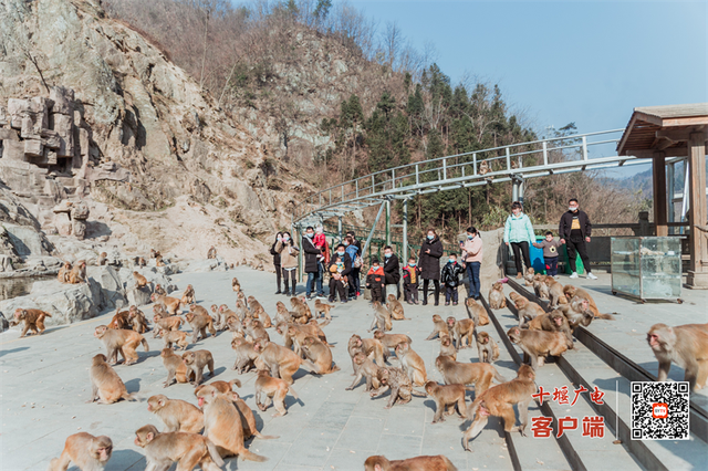 2024澳门精准正版资料,4条精品旅游路线，国庆邀您畅游茅箭！  第3张